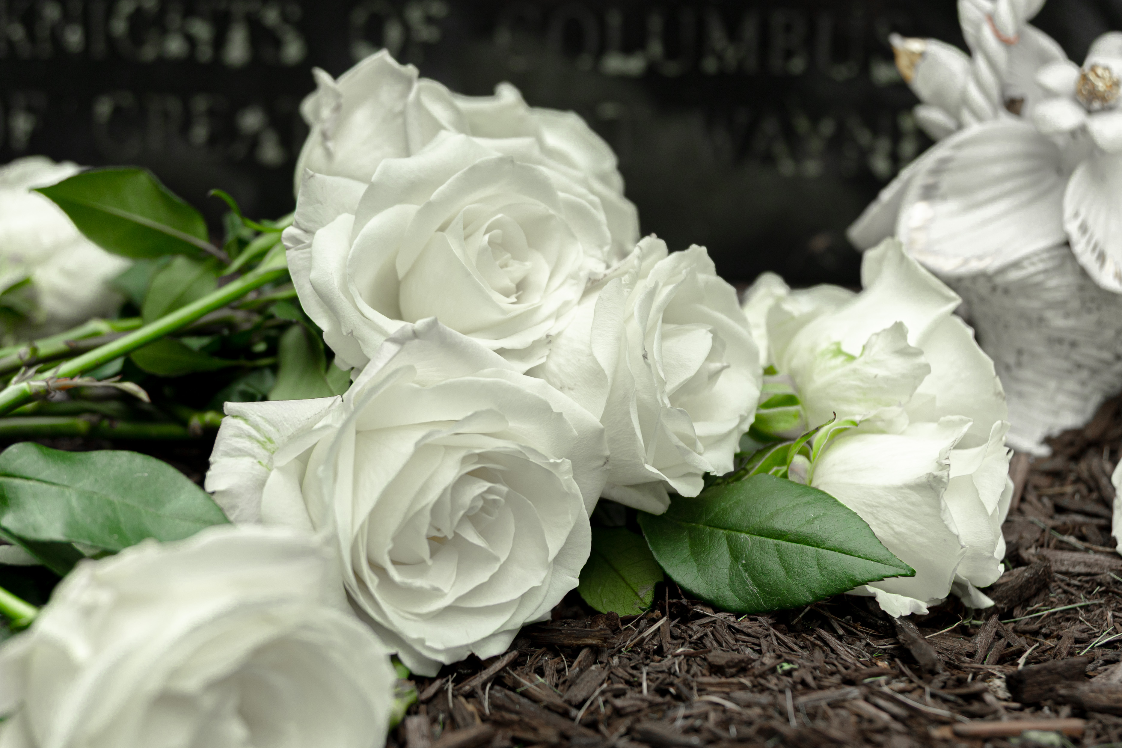 Remembering Our Unborn Brothers and Sisters