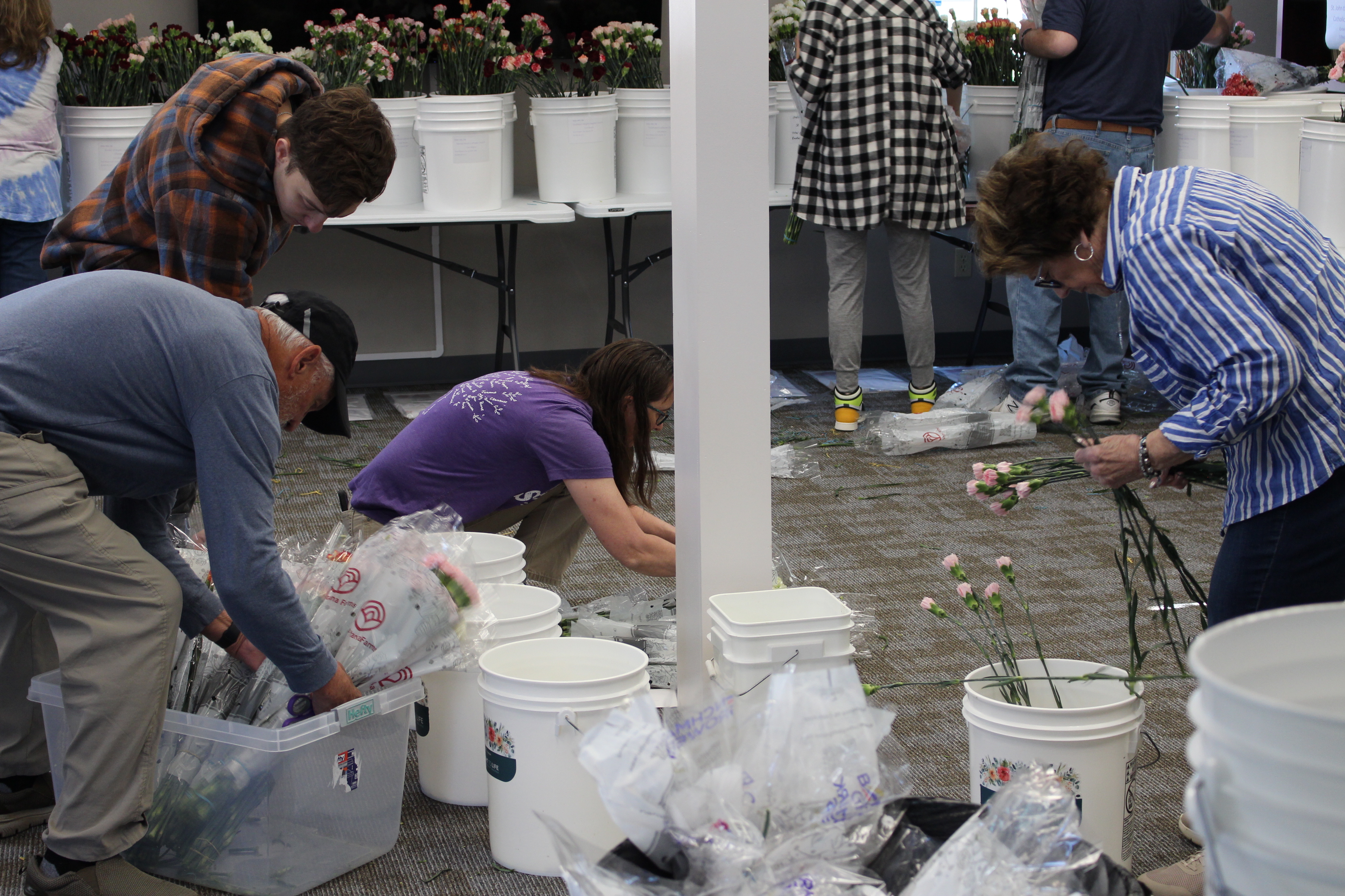 IMG1791.JPG?Revision=lVv&Timestamp=gChq78