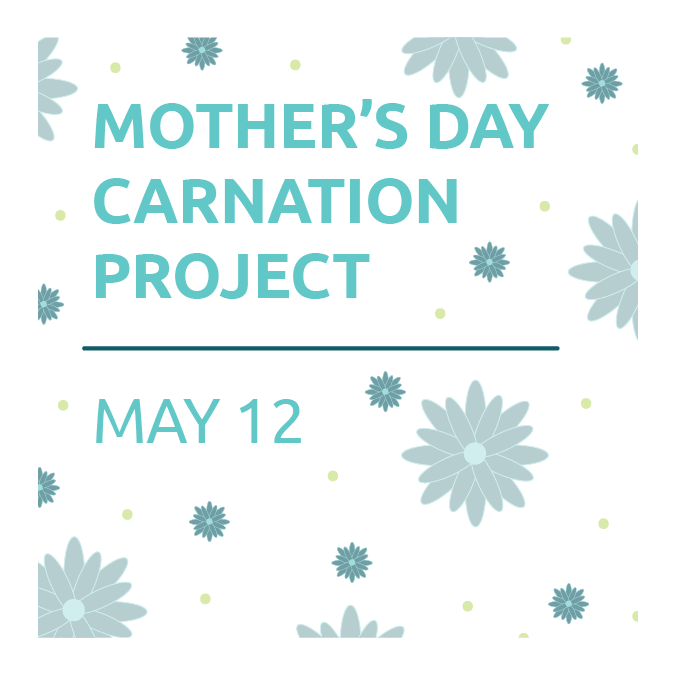 Mother's Day Carnation Project 