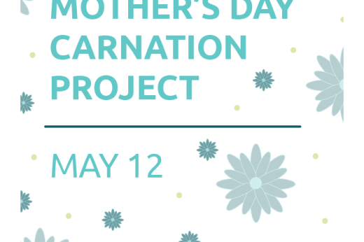 Mother's Day Carnation Project 