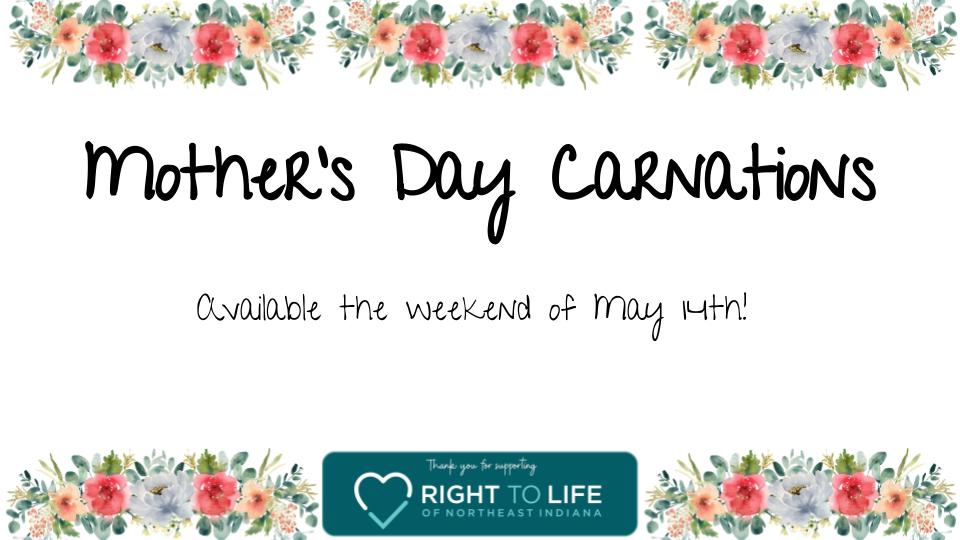 MothersDayCarnations.jpg?Revision=5yV&Timestamp=CxV5GJ
