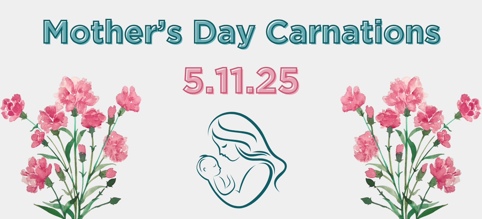 Mother's Day Carnation Project 2025