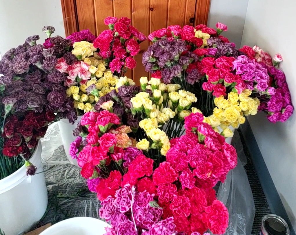 Mother's Day Carnation Project 2023